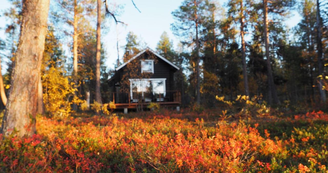 Lapintintti Eco-Cabin In Inari Exteriér fotografie